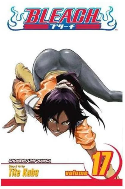 bleach vol. 17